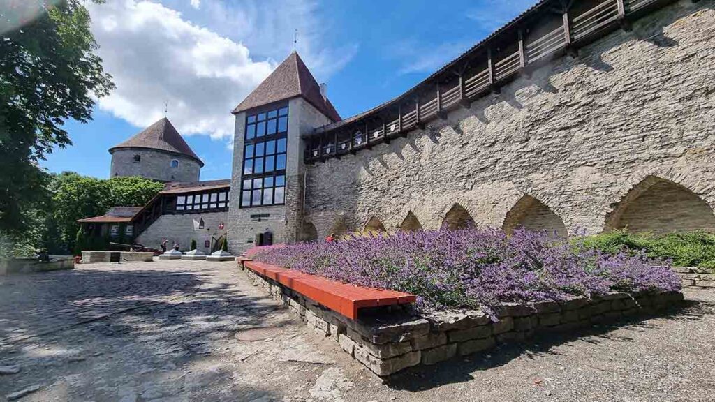 Краљева, Данска башта