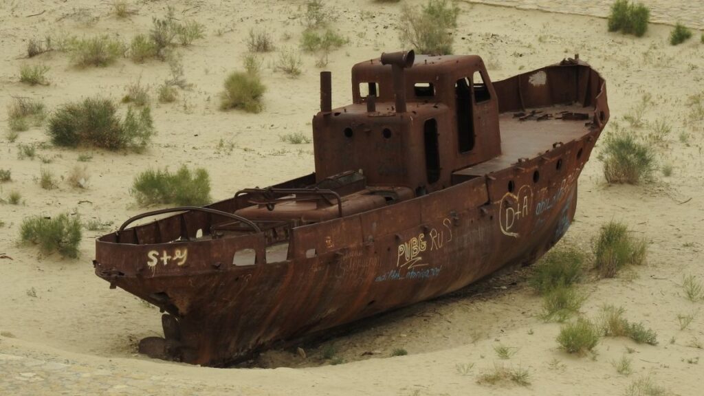 Аралско море, Узбекистан